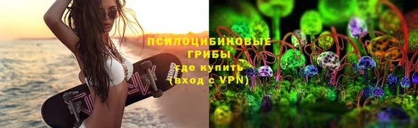 гашик Беломорск