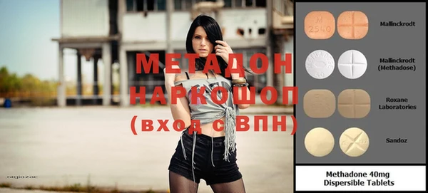 прущие грибы Белокуриха