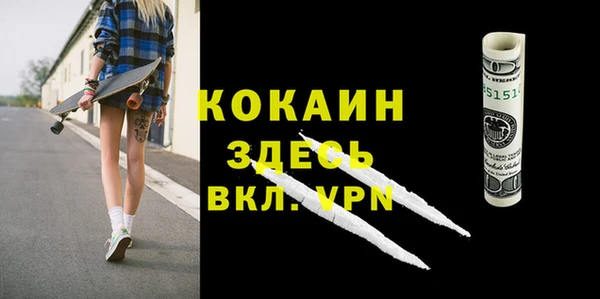 прущие грибы Белокуриха