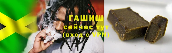 прущие грибы Белокуриха