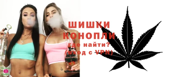 прущие грибы Белокуриха