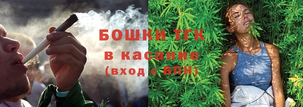 прущие грибы Белокуриха