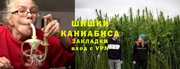 прущие грибы Белокуриха