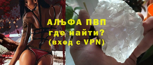 прущие грибы Белокуриха