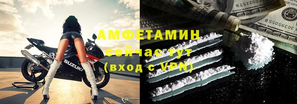 прущие грибы Белокуриха