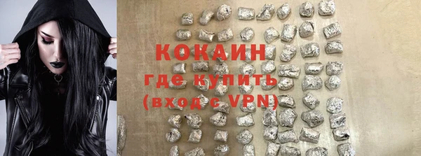 прущие грибы Белокуриха