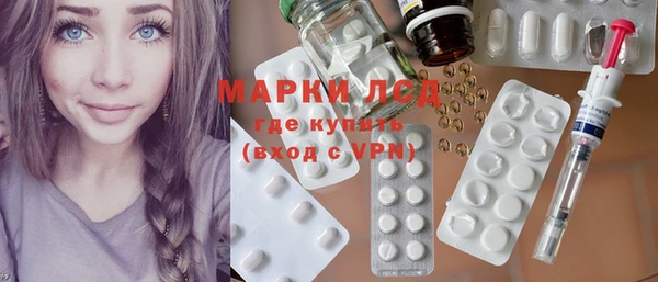 прущие грибы Белокуриха