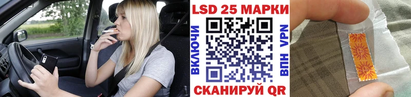 дарнет шоп  Полесск  Наркотические марки 1,5мг 